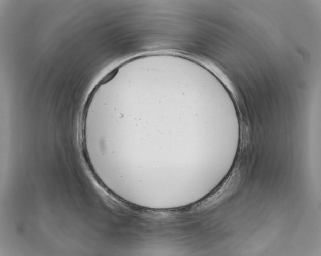 X0000110721101200907241201