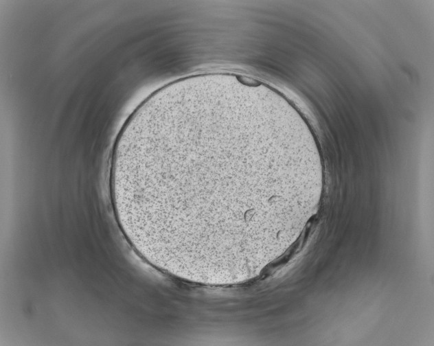 X0000110721102200907241201