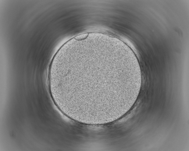 X0000110721103200907241201