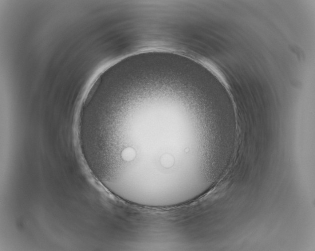 X0000110721104200907241201