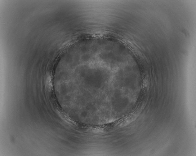 X0000110721106200907241200