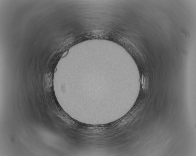 X0000110721107200907241200