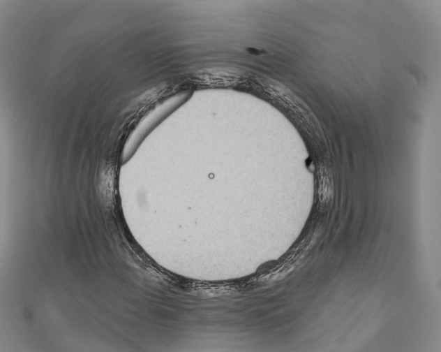 X0000110721108200907241200