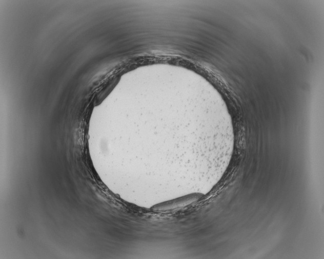 X0000110721110200907241201