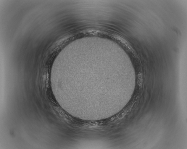 X0000110721111200907241201