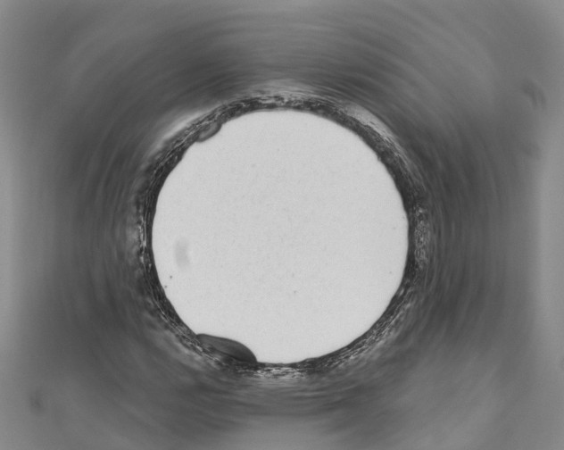 X0000110721112200907241201