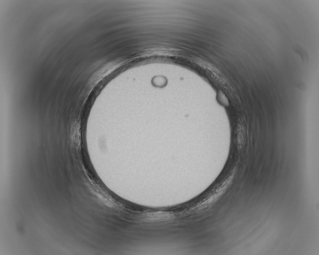 X0000110721113200907241201