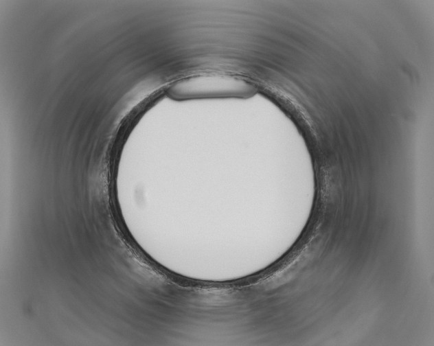 X0000110721114200907241201