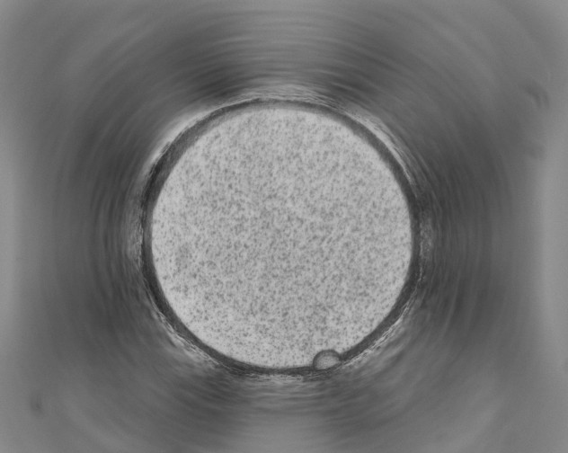 X0000110721115200907241201