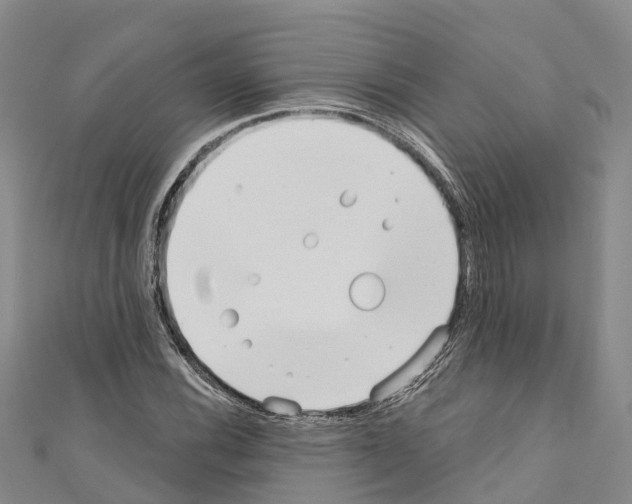 X0000110721116200907241201