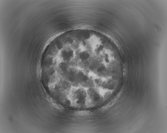 X0000110721117200907241201