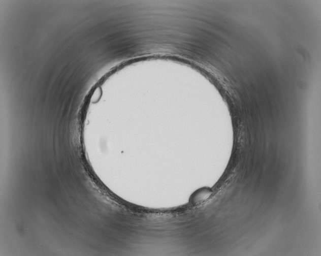 X0000110721118200907241201