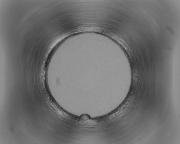 X0000110721119200907241201