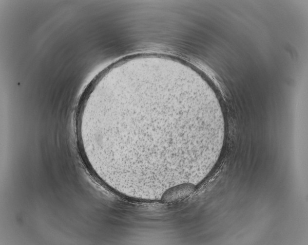 X0000110721120200907241201