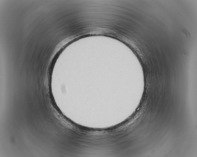 X0000110721122200907241201