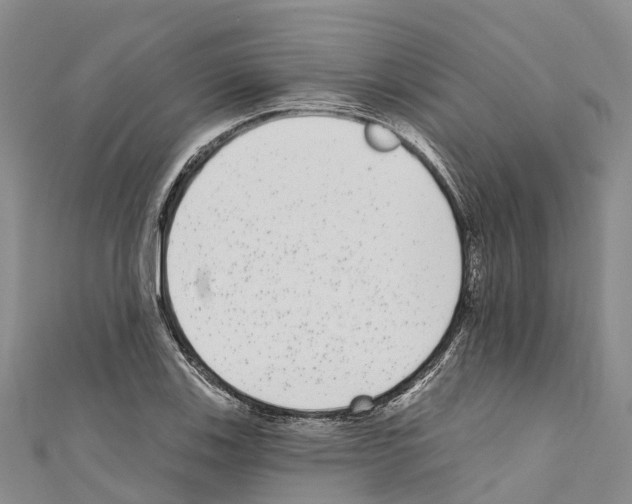 X0000110721123200907241201