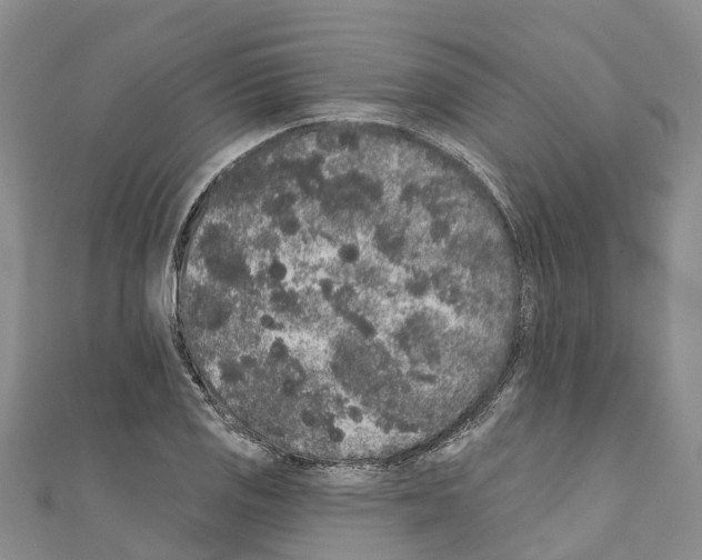 X0000110721125200907241201