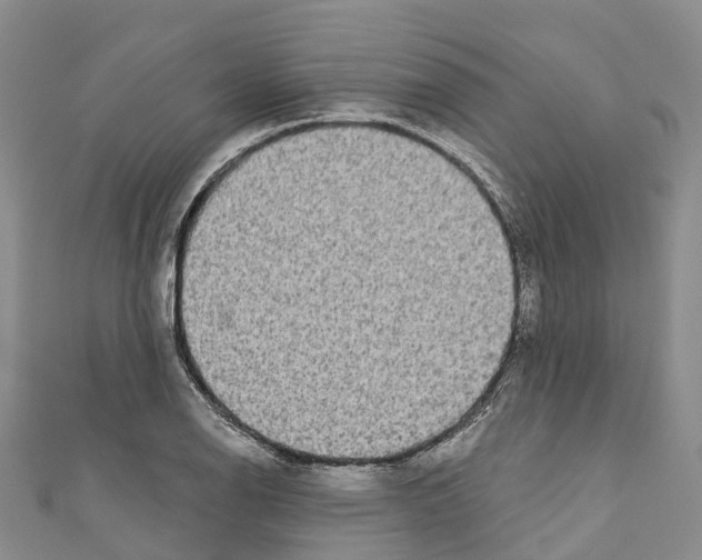 X0000110721126200907241201