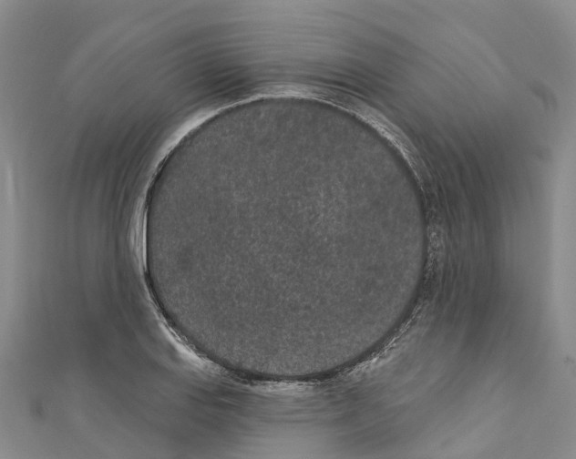 X0000110721127200907241201