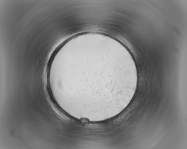 X0000110721128200907241201