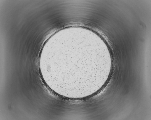 X0000110721129200907241201