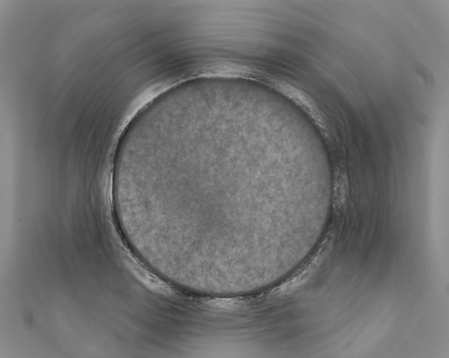 X0000110721130200907241201