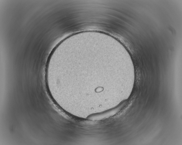 X0000110721134200907241201