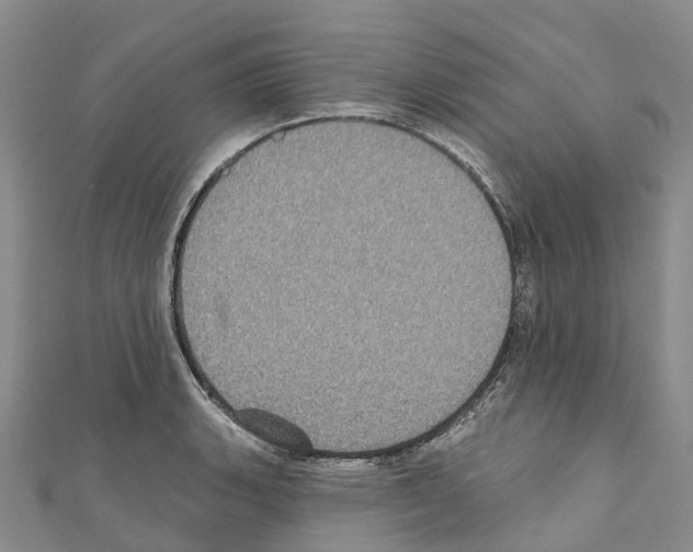 X0000110721135200907241201