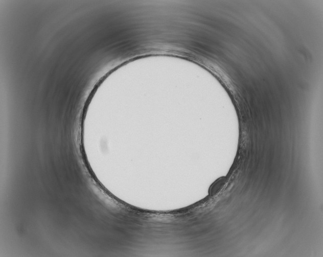 X0000110721136200907241201