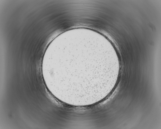 X0000110721137200907241201