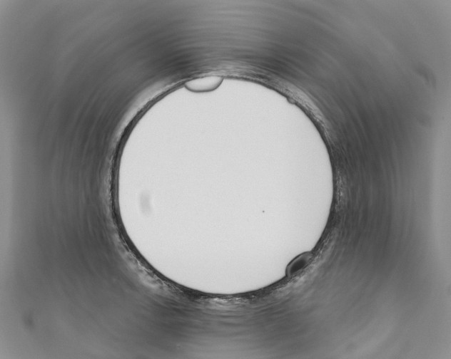 X0000110721138200907241201