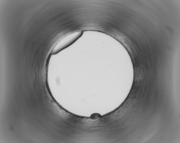 X0000110721140200907241201