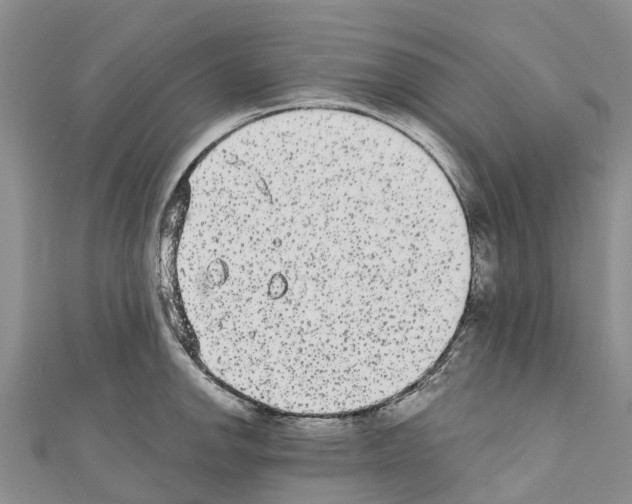 X0000110721142200907241201