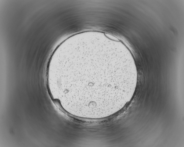 X0000110721143200907241201