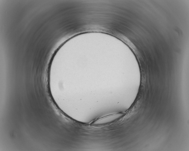 X0000110721144200907241201