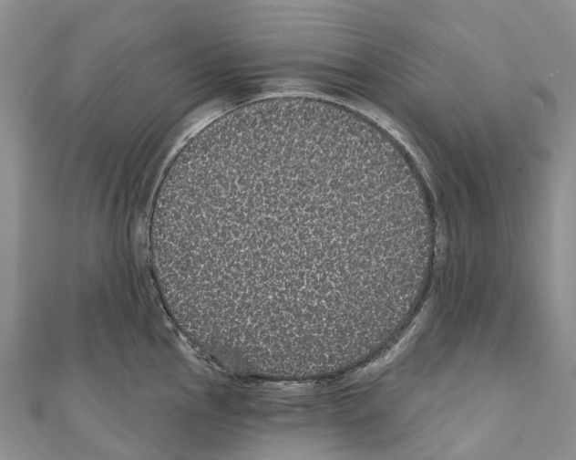 X0000110721145200907241201