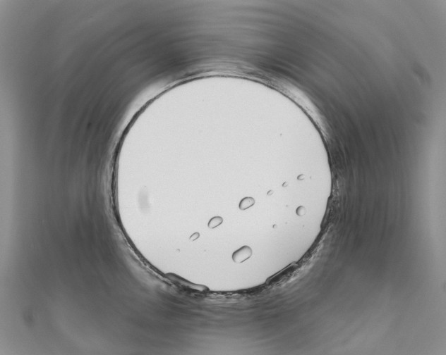 X0000110721146200907241201