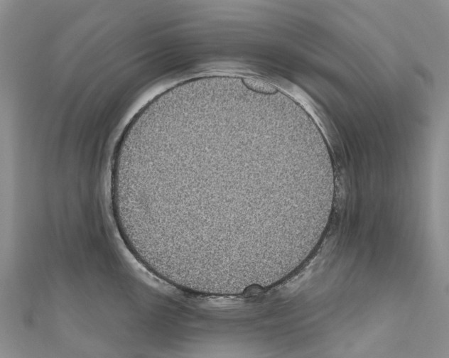 X0000110721147200907241201