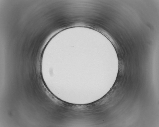 X0000110721148200907241201