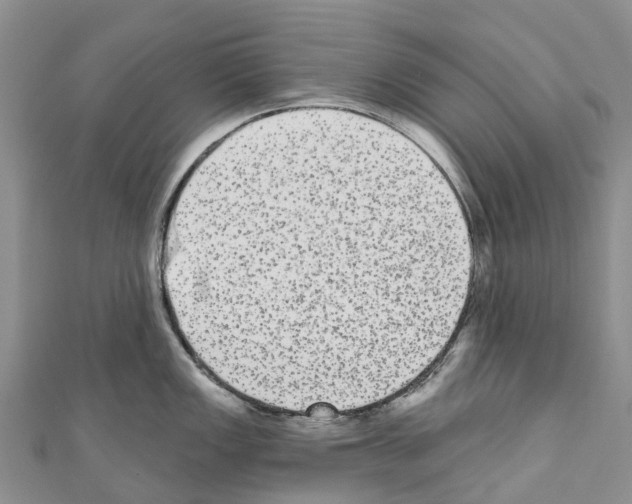 X0000110721149200907241201