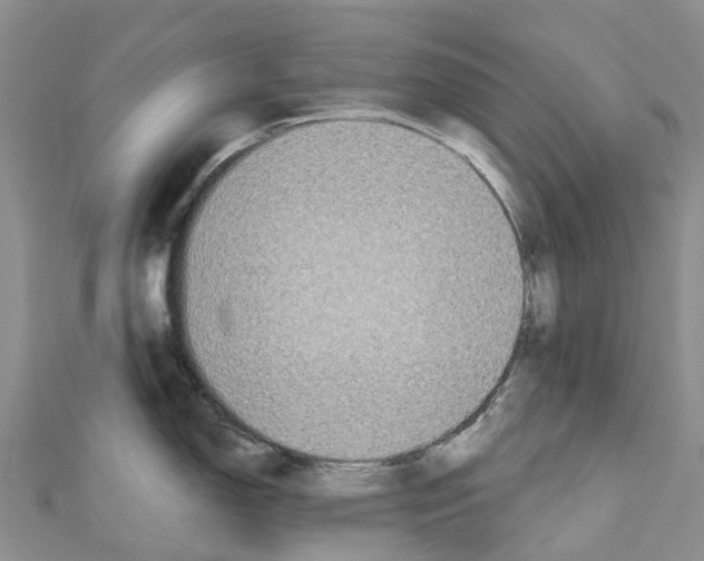 X0000110721150200907241201