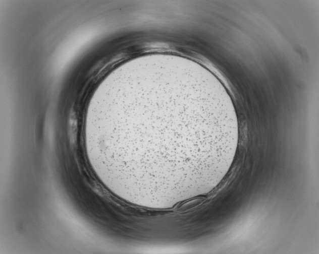 X0000110721151200907241201