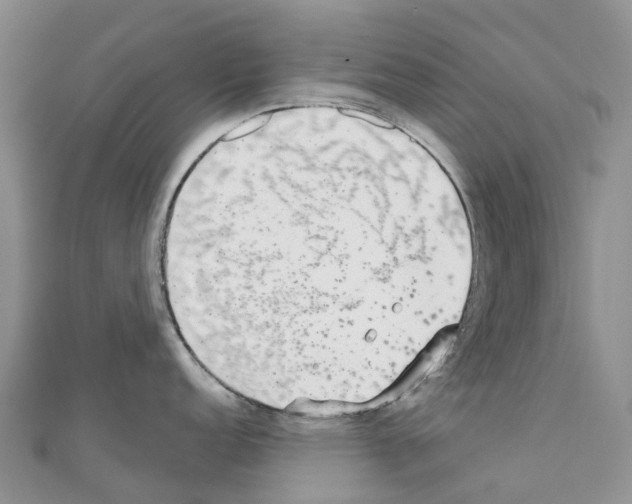 X0000110721152200907241201