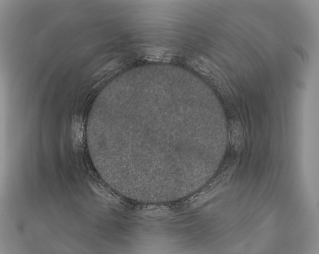 X0000110721154200907241200