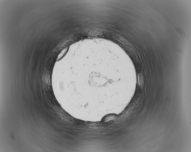 X0000110721155200907241200