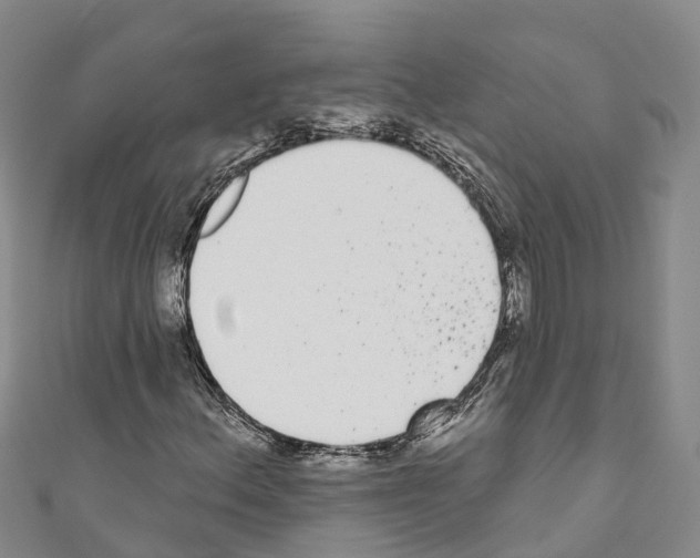 X0000110721156200907241200