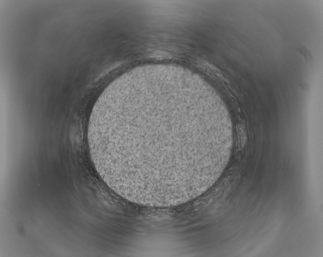 X0000110721158200907241200