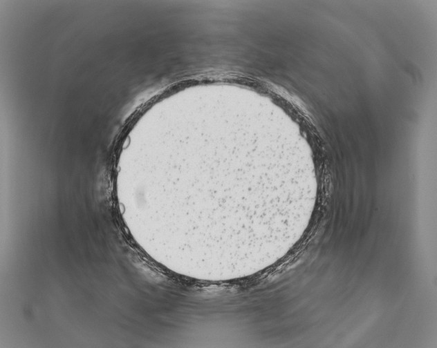 X0000110721160200907241200