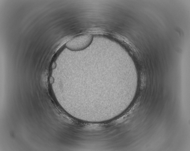 X0000110721162200907241200