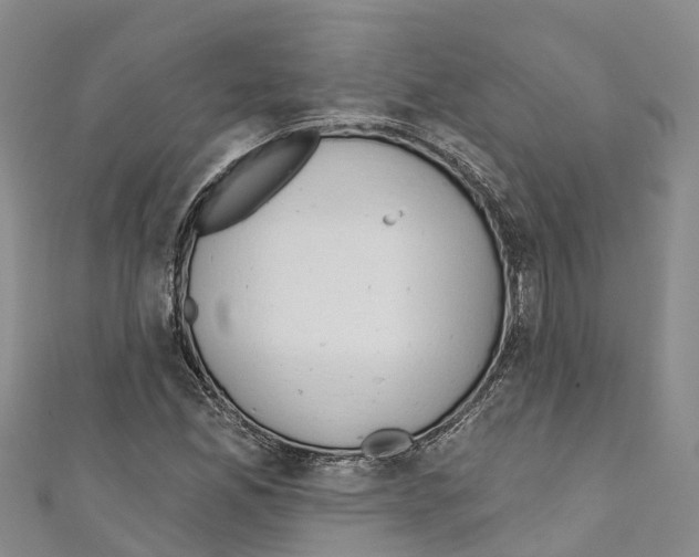 X0000110721165200907241200